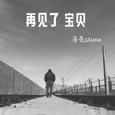 再见了 宝贝封面