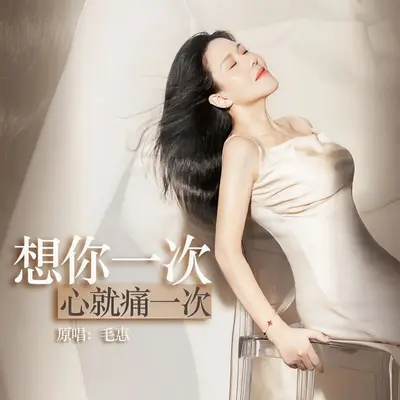 想你一次心就痛一次 - 毛惠封面