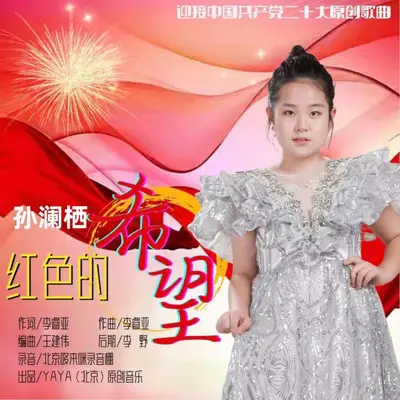 红色的希望封面