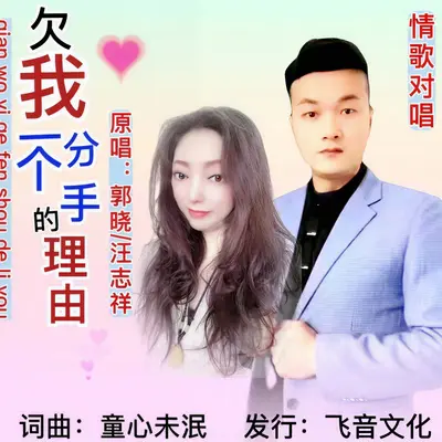 欠我一个分手的理由（对唱DJ版）封面