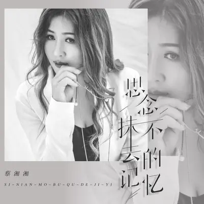 思念抹不去的记忆封面