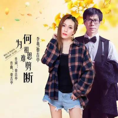 为何相思难剪断（DJ版）封面