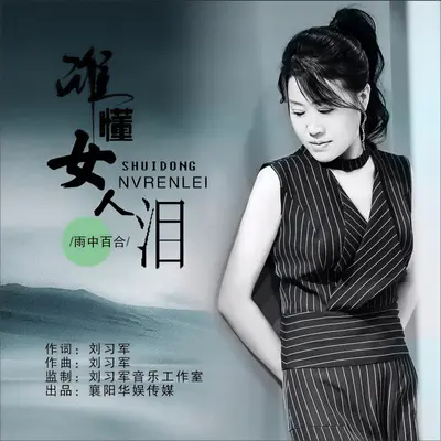 谁懂女人泪封面