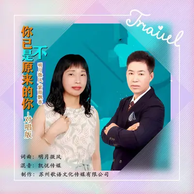 你已不是原来的你（对唱版）封面