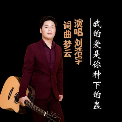 伤心的人在伊犁封面