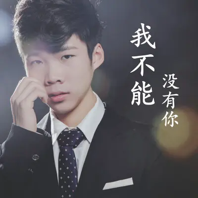 我不能没有你（DJ默涵版） - 白宁封面