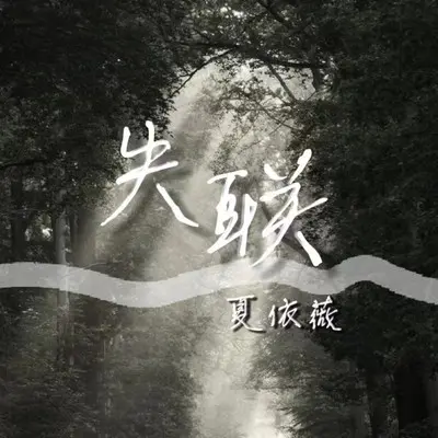 放不下的情缘封面