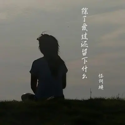 除了爱过还留下什么 - 怪阿姨封面