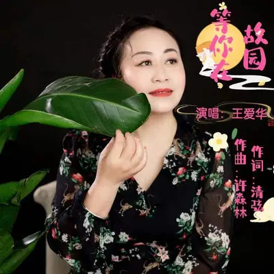 等你在故园封面