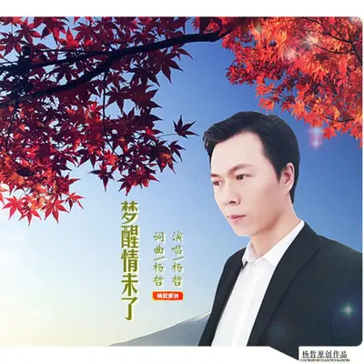 余情未了封面