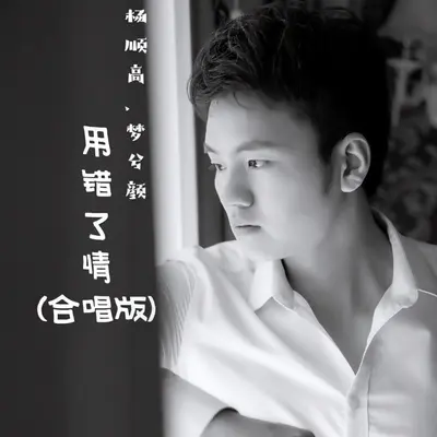 用错了情(合唱版)封面