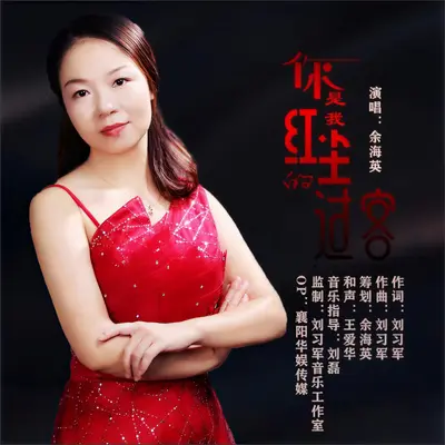 你是我红尘的过客 (DJ伟然版)封面