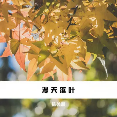 在漫天落叶的广州等你 - 陈美娜封面