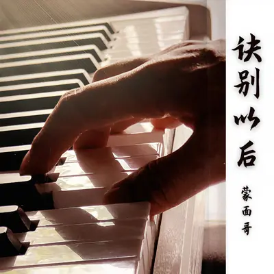 诀别以后封面