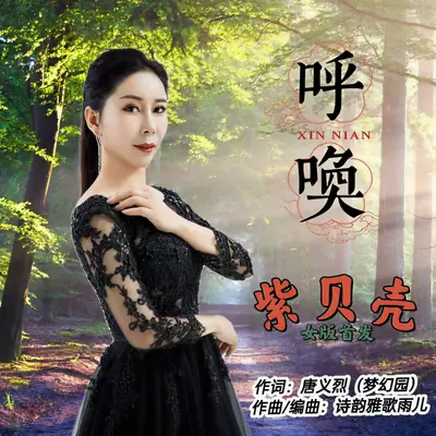 呼唤封面
