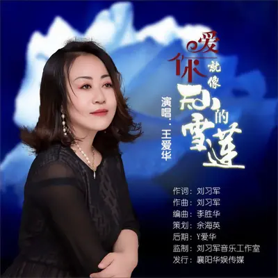 爱你就像天山的雪莲封面