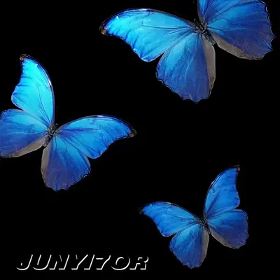 不能流泪的悲伤 - 汤明涛JUNYI7OR封面
