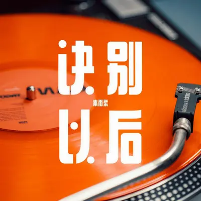 诀别以后封面