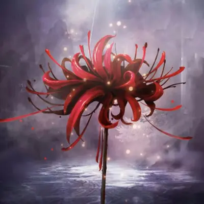 彼岸花开（治愈纯音）封面