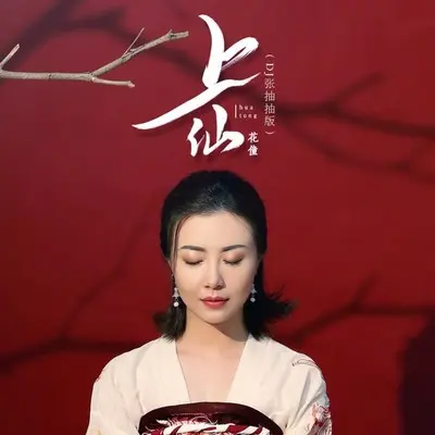 上仙（DJ张抽抽版）封面