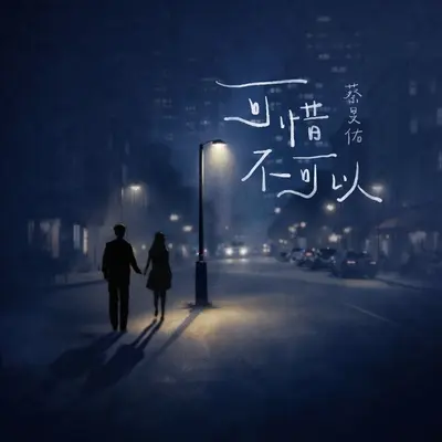 可惜不可以封面
