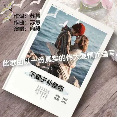 下辈子补偿你封面