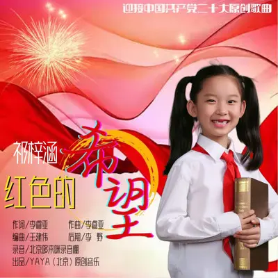红色的希望封面