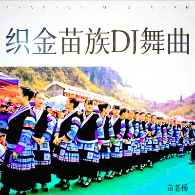 苗族DJ哆噻谱—（车载DJ音乐）封面