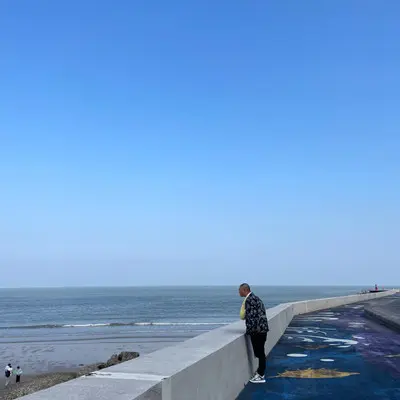 遗憾 - 凡是林 / 梦梦封面