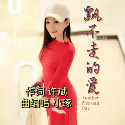 飘不走的爱封面
