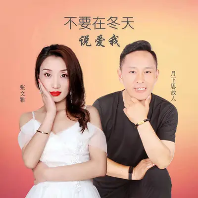 不要在冬天说爱我封面