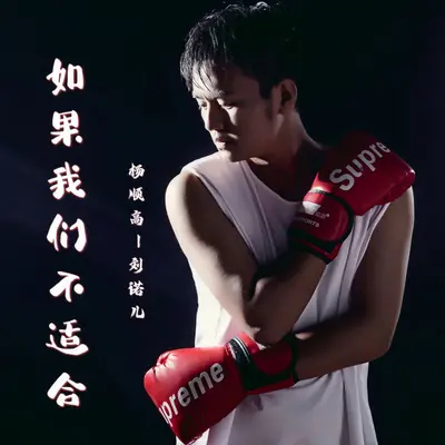 如果我们不适合封面