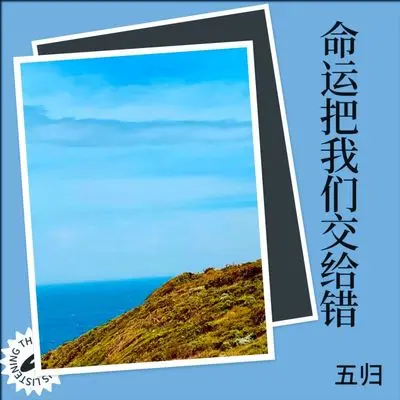 命运把我们交给错(DJ阿五版)封面