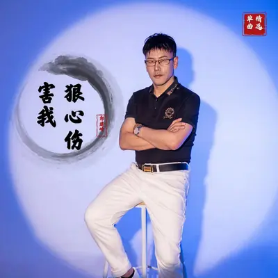 狠心伤害我封面