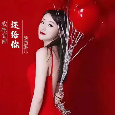 我把自由还给你封面