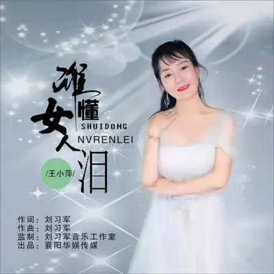 谁懂女人泪封面
