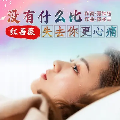 没有什么比失去你更心痛封面