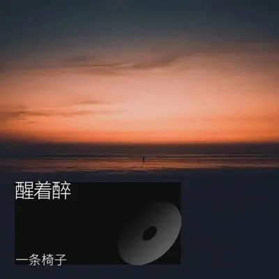 醒着醉封面