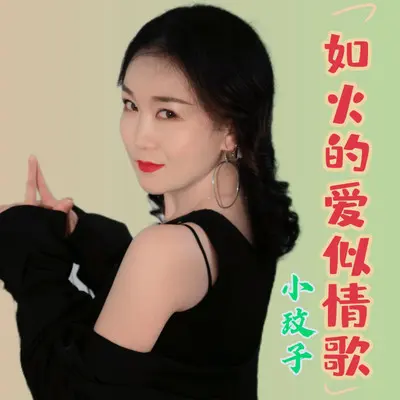 如火的爱似情歌（DJ可乐版）封面