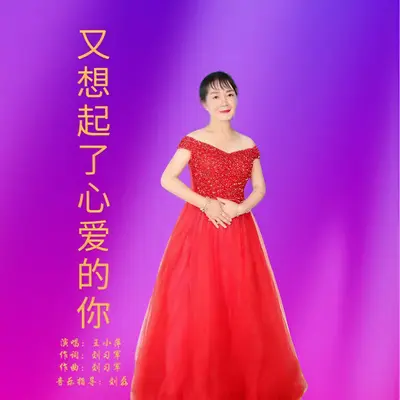 又想起了心爱的你封面