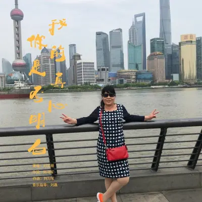 我的真心你是否明白（DJ版）封面