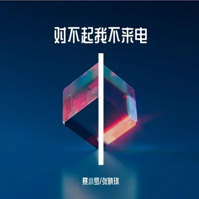 对不起我不来电封面