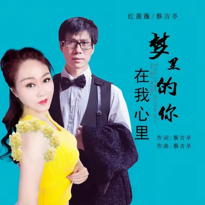 梦里的你在我心里（DJ版）封面