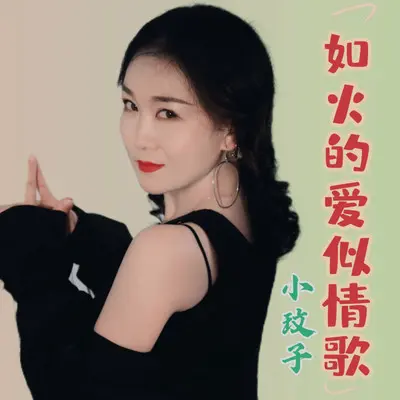 如火的爱似情歌（DJ咚鼓版）封面