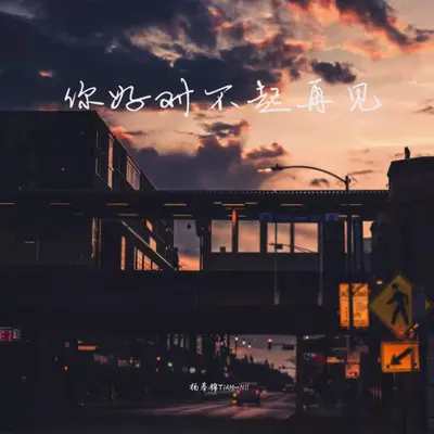 你 好 对 不 起 再 见 - Tiam / Nii封面