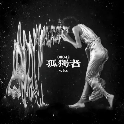 孤独者封面