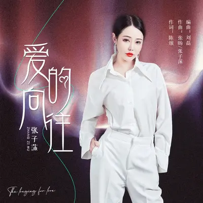 爱的向往封面