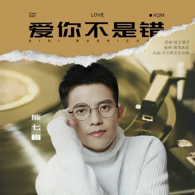 爱你不是错（DJ熊七梅版）封面
