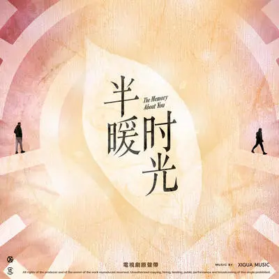 鲸落封面