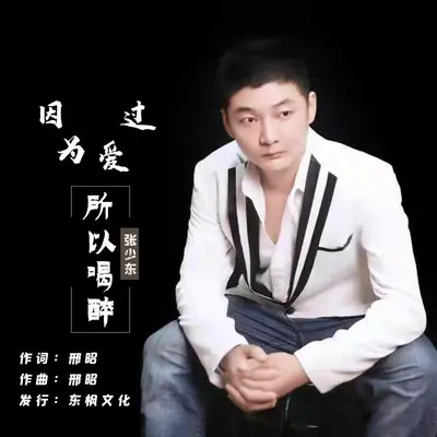 因为爱过所以喝醉封面